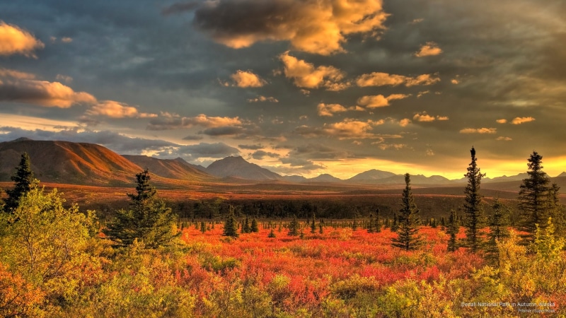 2K, national, autumn, denali, National Parks, park, alaska