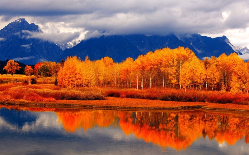 forest, river, 1080P, leaves, colorful, autumn