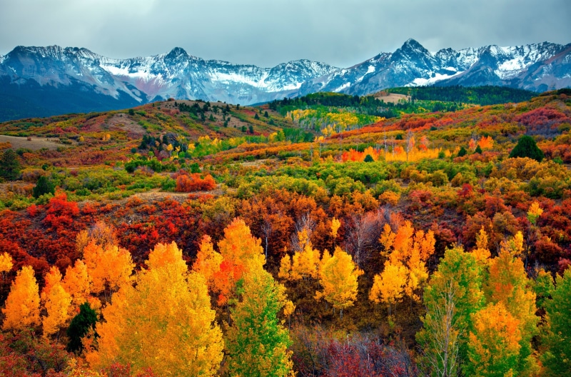 multi colored, mountain, orange color, change, land, nature, autumn 4k hd  desktop download, environment, bright, mountain peak, tranquility, snow, tree