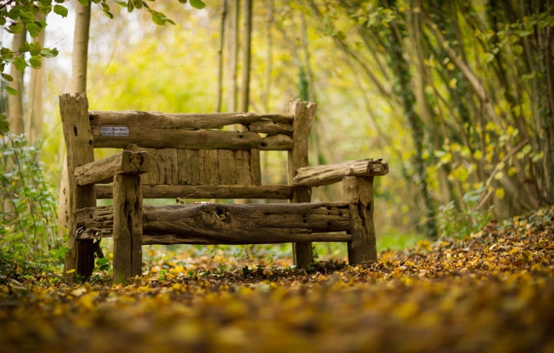 background, 1080P, bench, autumn