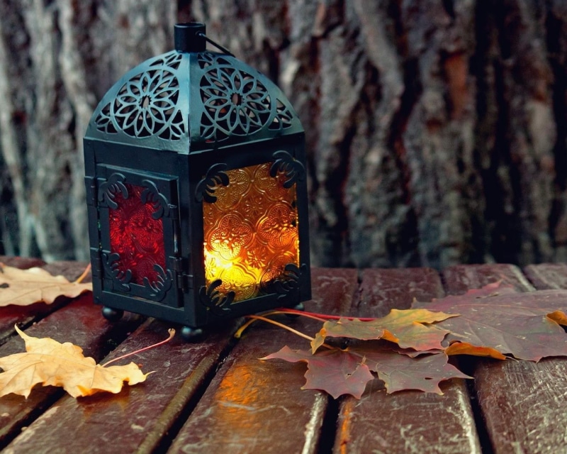 lantern, hd, nature, leaves, 720P, autumn