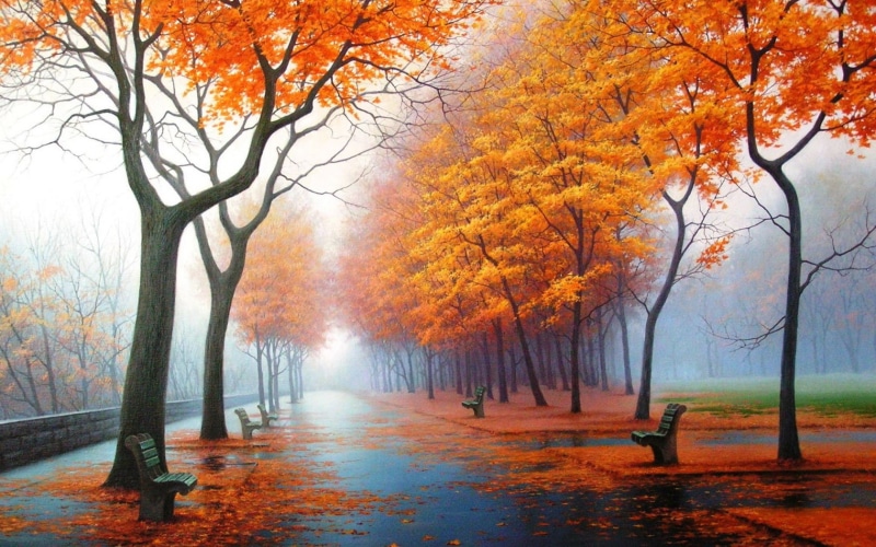 Autumn, 720P, Foggy