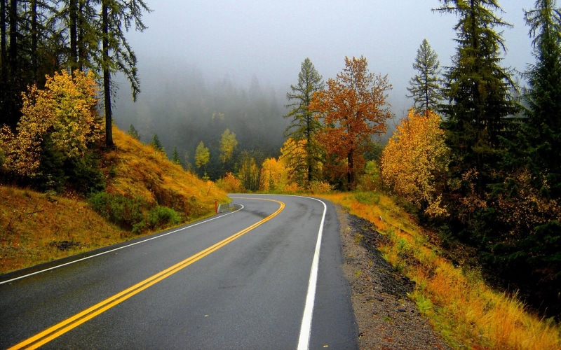 autumn, roads, trees, 1080P, road, nature and landscapes, trip, forest, fall