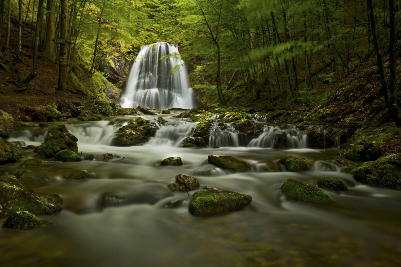 forest, creek, falls, scenics, beauty In Nature, Bach, Strom, rauschen, alps, frozen  water, lee, river, Alpen, outdoor, freshness, Bayern, Pounding, water