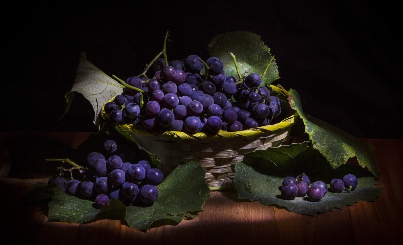 healthy eating, food and drink, studio shot, grapes, plant part, dark, nature, 1080P, winemaking, food, no people, grape, leaf, black background, indoors