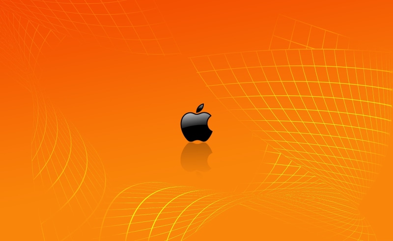 Mac, bird, full length, sunlight, motion, animal wildlife, Apple, no people, animals in the wild, vertebrate, Different, 2K, nature, orange color, one animal