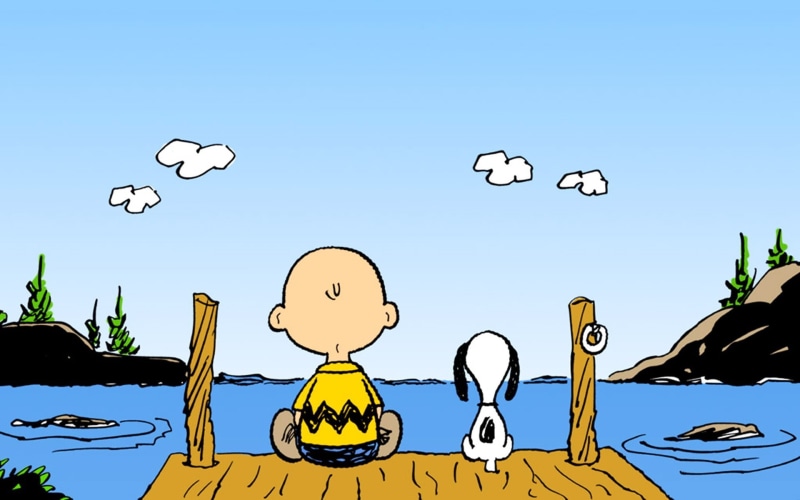 peanuts, 1080P, charlie, snoopy, comics, brown