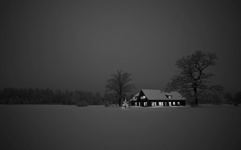 1080P, plant, building exterior, black, nature, building, outdoors, gray, winter, night, sky, dark, land, landscape, field, cottage, house, architecture