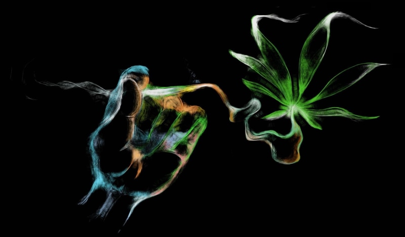 weed, rasta, drug, 720P, psychedelic, plant, 420, marijuana, cannabis, reggae, drugs, trippy, nature
