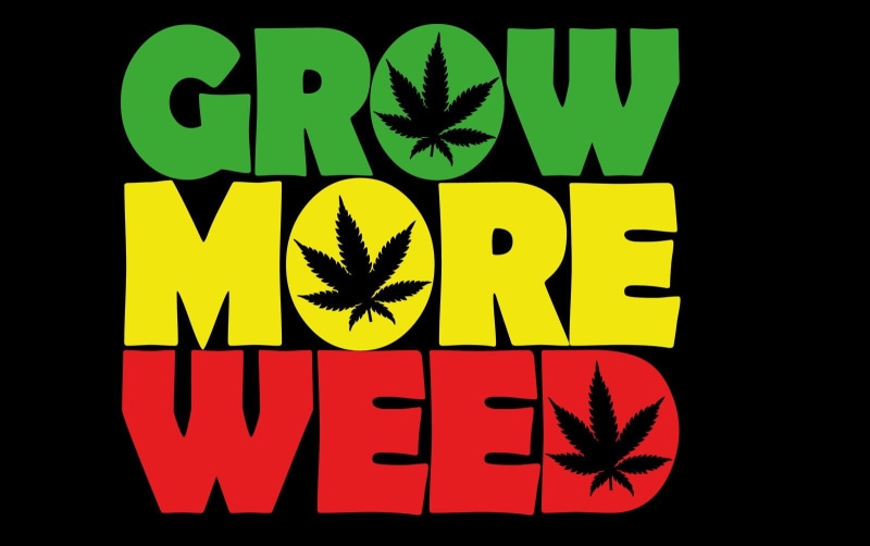 psychedelic, plant, drug, nature, cannabis, trippy, drugs, 420, 720P, marijuana, rasta, weed, reggae