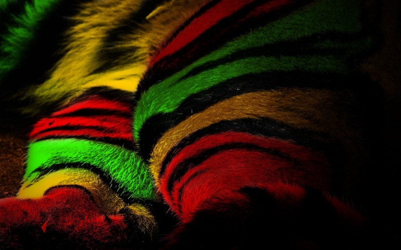 drug, reggae, plant, psychedelic, marijuana, weed, nature, 720P, trippy, cannabis, rasta, 420, drugs