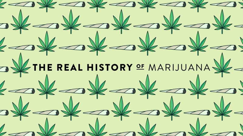 trippy, nature, reggae, plant, cannabis, drug, weed, drugs, rasta, marijuana, psychedelic, 420, 2K