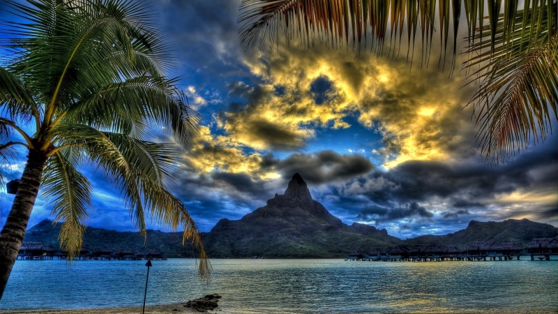nature, outdoors, reflection, 1080P, sky, scenics - nature, coconut palm tree, tranquil scene, plant, mountain range, palm leaf, no people, coconut, idyllic