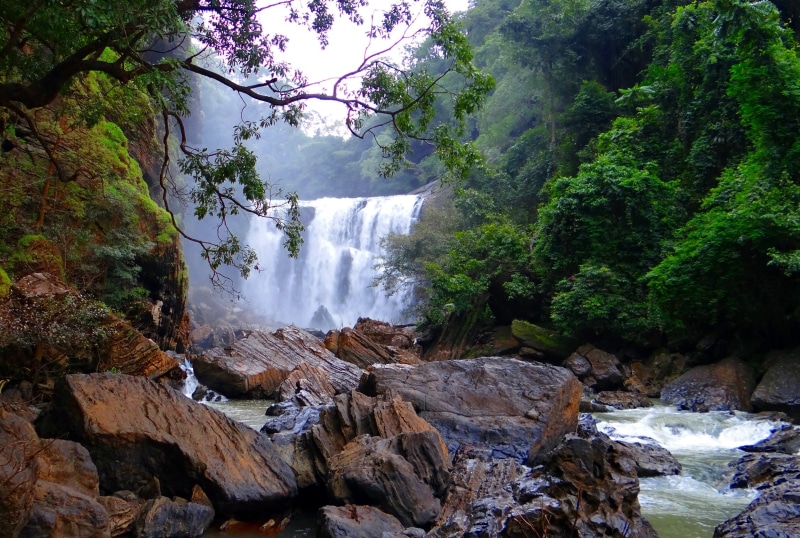 karnataka, scenics - nature, outdoors, waterfalls, rock - object, rainforest, nature, water, freshness, water fall, uttar kannada, stream - flowing water
