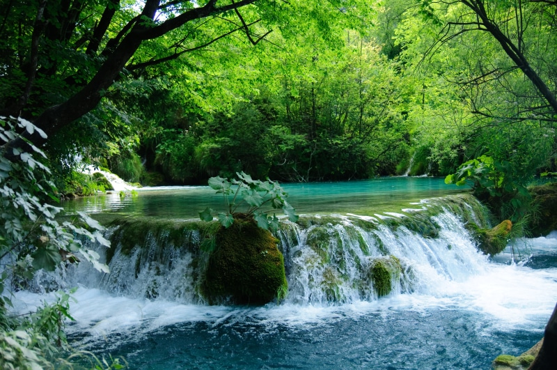 tree, leaf, green leaf, outdoors, Plitvice, ACA, landscape, beauty In Nature, Nikon  D300, water, 4K, near, stream, Waterfall, green, photo, freshness
