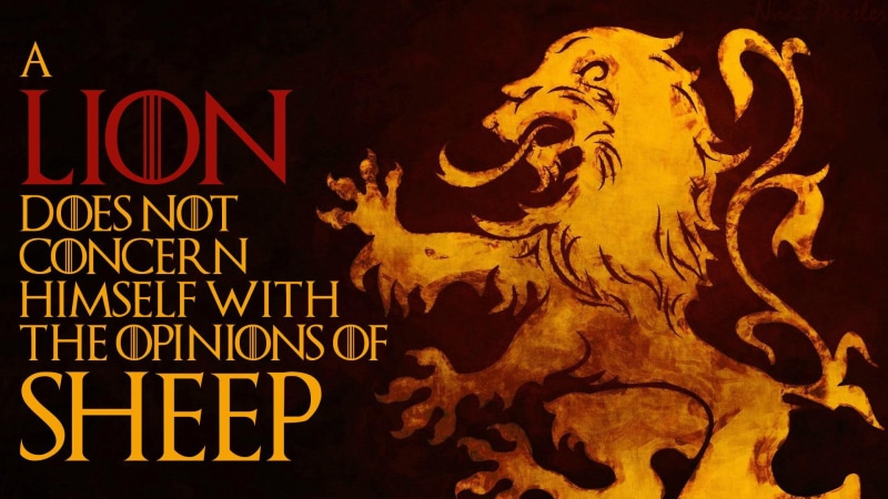 opinion, quotes, metaphore, lion, concern, 1080P, sheep, graphics, opinions, 1920x1080
