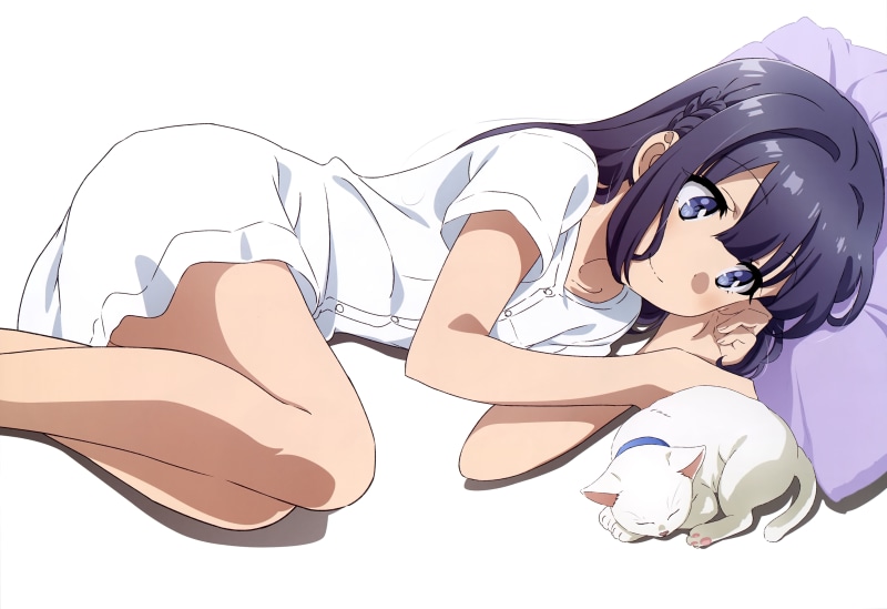5K, Anime, Rascal Does Not Dream of Bunny Girl Senpai, Shoko Makinohara