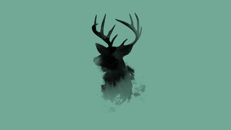tree, beauty in nature, antler, 1080P, winter, mammal, herbivorous, cold temperature, animals in the wild, no people, studio shot, animal themes, minimalism
