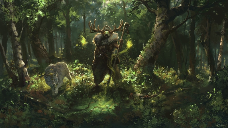 sorcerer, antlers, animal wildlife, growth, tiger, wolf, forest, animals in the wild, green color, land, mammal, outdoors, group of animals, plant, day