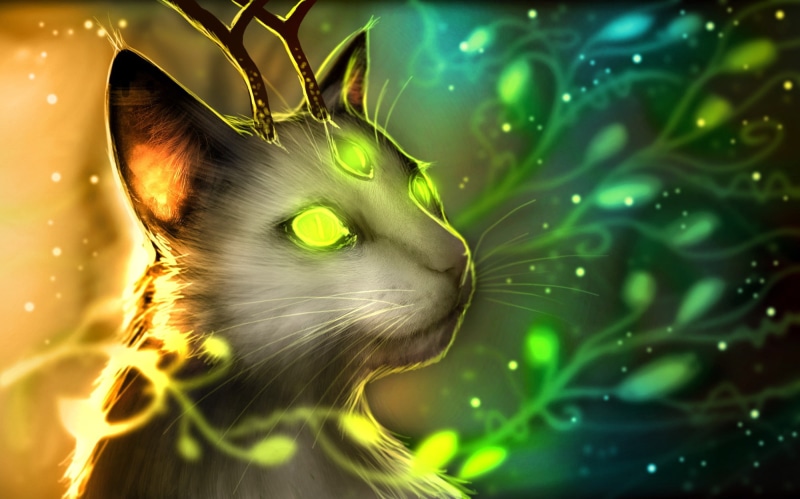 animal, animal themes, domestic animals, Romantically Apocalyptic, looking, cat, pets, no people, vertebrate, green color, one animal, whisker, close-up