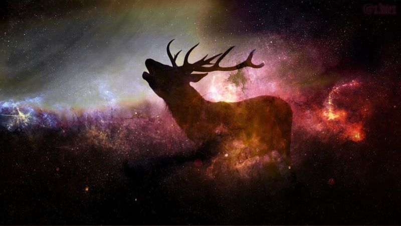 horned, night, mammal, outdoors, no people, nature, star - space, sky, animal wildlife, one animal, 720P, animals, space, stars, illuminated