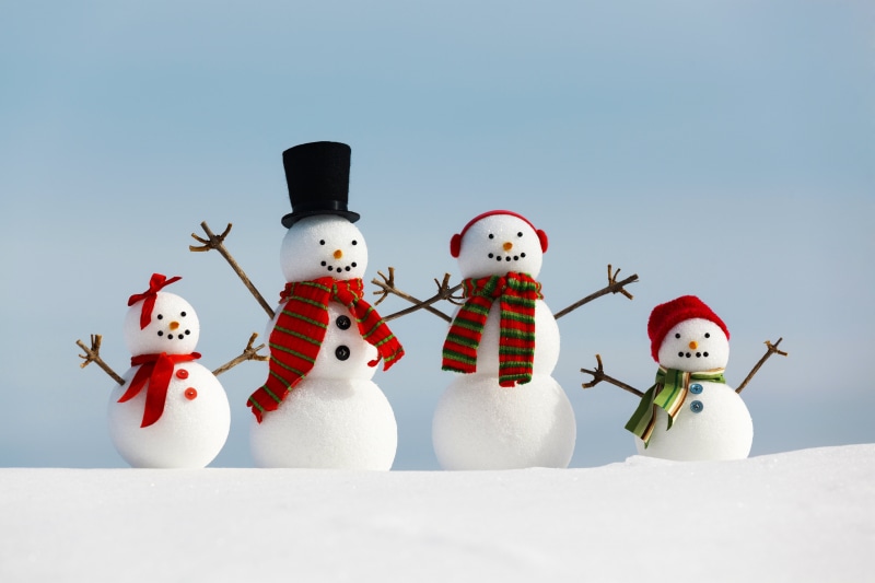 season, red, white color, family, day, decoration, snow, greeting Card, fun, christmas Ornament, nature, Happy New Year, humor, year, celebration, creativity