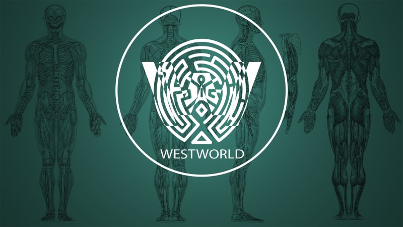 1080P, TV Show, Westworld