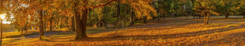 5K, no people, tree, land, plantation, fall, grass, beauty in nature, tranquil scene, scenics - nature, hut, nature, coniferous tree, autumn, plant, outdoors