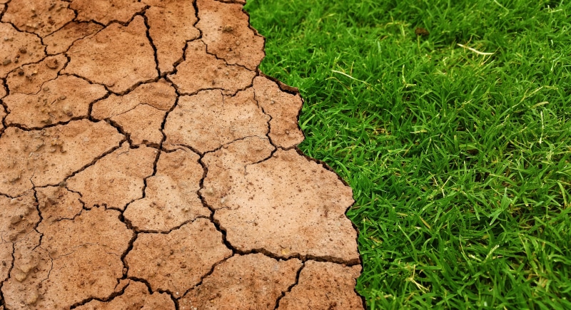 no people, high angle view, land, green, soil, nature, global, outdoors, planet, cracked, dry, ecology, dirt, arid climate, change, grass, climate, ground