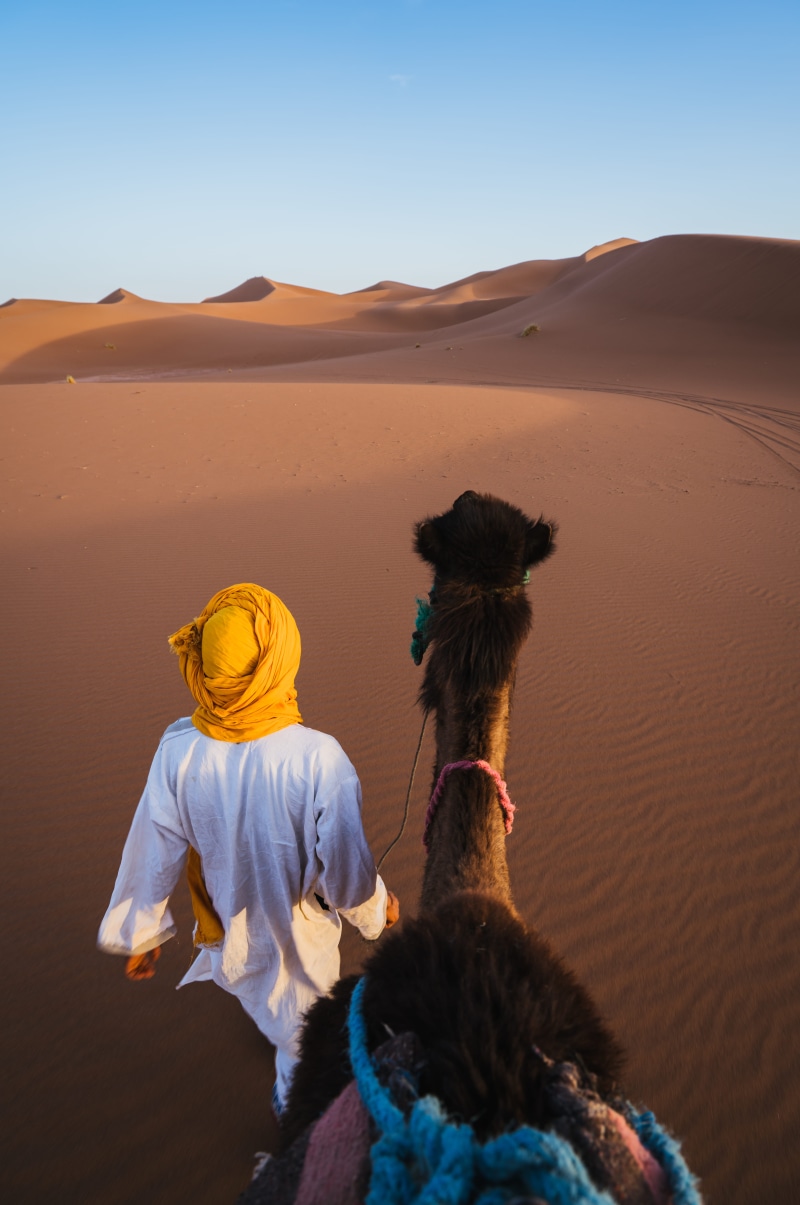5K, atmospheric, animal themes, clear sky, camel, turban, desert, landscape, brown, outdoors, wearing, nature, blue sky, walking, camel ride, beside, scenics - nature