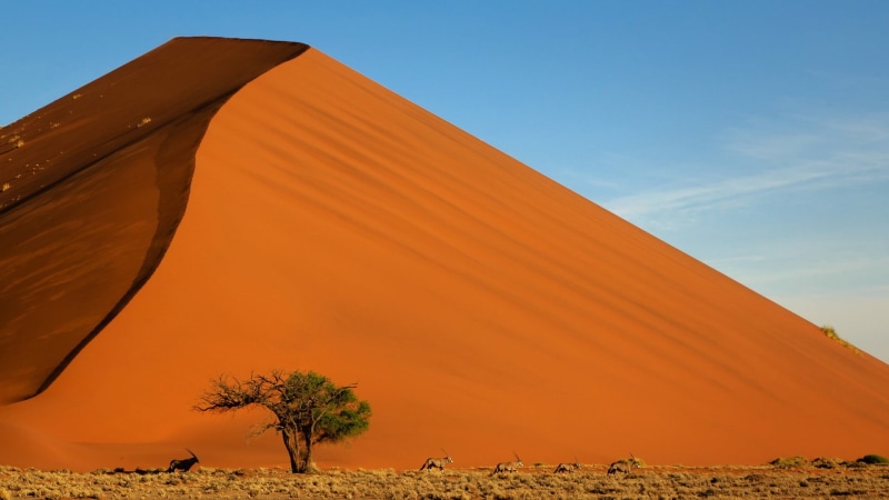 desert, animals, dessert, no people, arid climate, mountain, climate, scenics - nature, low angle view, sand dune, nature, tranquil scene, blue, outdoors