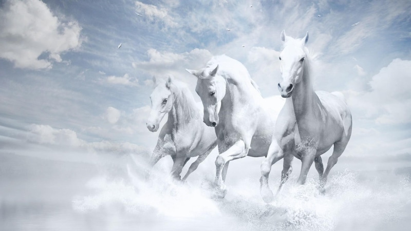 three, horse, 1080P, animals, clouds, white, horses, running