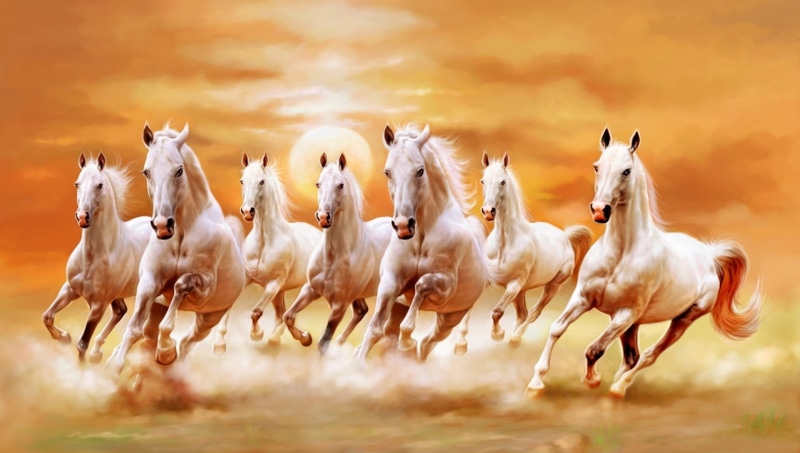beauty In Nature, group Of Animals, running, nature, agriculture, 1080P, motion, livestock, landscape, animals And Pets, digital, farm, togetherness, field
