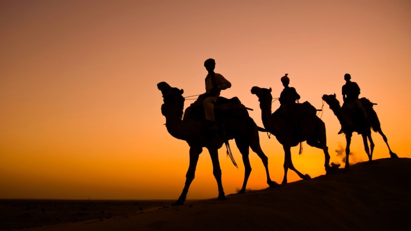 Thar desert, brown, Rajasthan, India, three, caravan, camels, camel, silhouette, 1080P