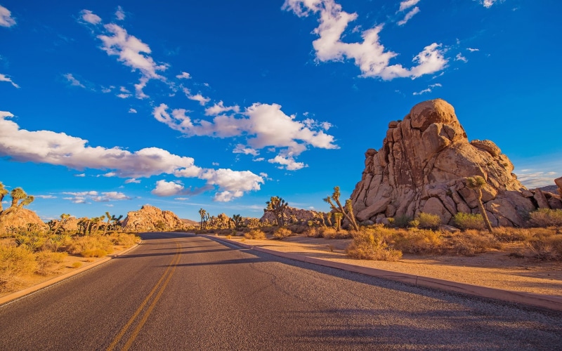 wallpapers, usa, rugged, park, desert, area, protected, landscapes, rock, california, southern, formations, joshua, 1080P, road, stark, national, hd, tree