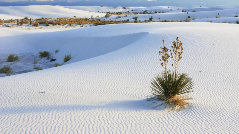 1080P, desert, sands, mexico, white sands, new, new mexico, 1920x1080, white, oasis, nature