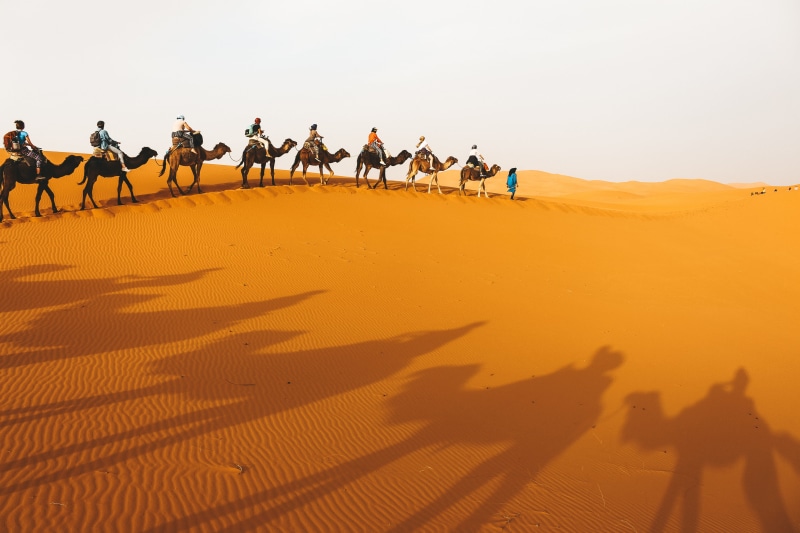 sunset, landscape, sky, yellow, silhouette, 4K, heat - Temperature, united Arab Emirates, dromedary Camel, travel blog, african Culture, sunlight, caravan
