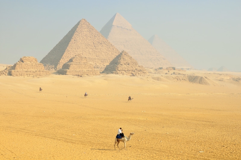 domestic animals, nature, sand, arid climate, africa, mammal, dromedary, cairo, day, travel destinations, sphinx, temple, camels, nile, the past, architecture