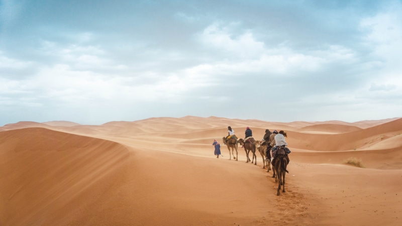 morocco, walking, group of people, nature, climate, outdoors, sahara desert morocco, desert, mammal, domestic, walk, arid climate, cloudscape, trek, animal themes