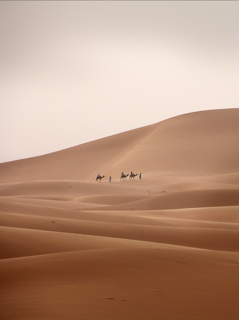 climate, sand dune, land, beside, non-urban scene, desert ship, person, tranquility, three, sand, caravan, riding, sahara, 2K, arid climate, scenics - nature