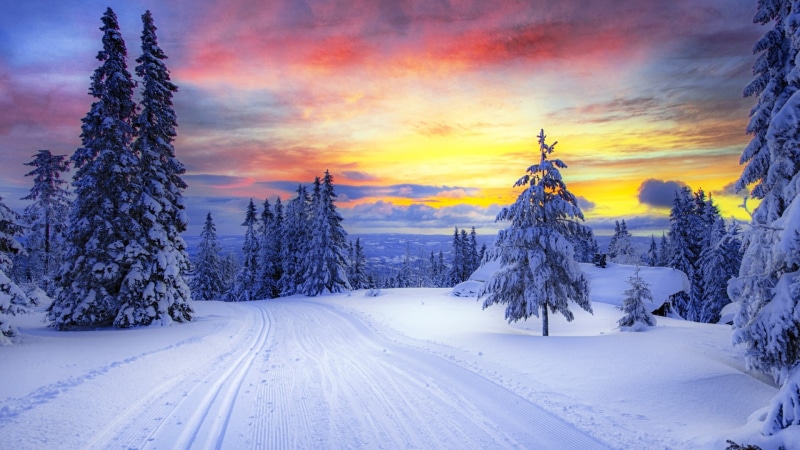 1080P, forest, norway, winter, snow, trees