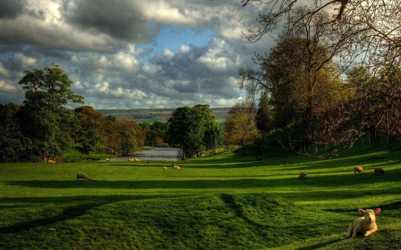 green - golf course, cloud - sky, day, land, tranquil scene, activity, growth, scenics - nature, no people, tree, outdoors, nature, plant, leisure activity