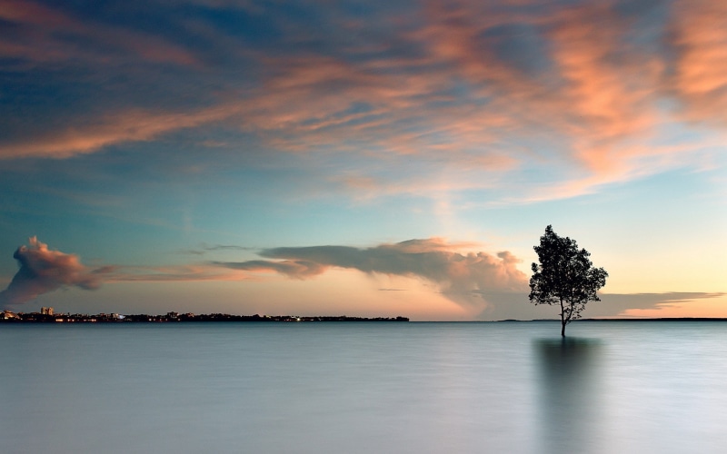 sea, reflection, nature, high resolution pictures of nature 1920x1200, waterfront, sky, no people, plant, beauty in nature, outdoors, non-urban scene, cloud - sky