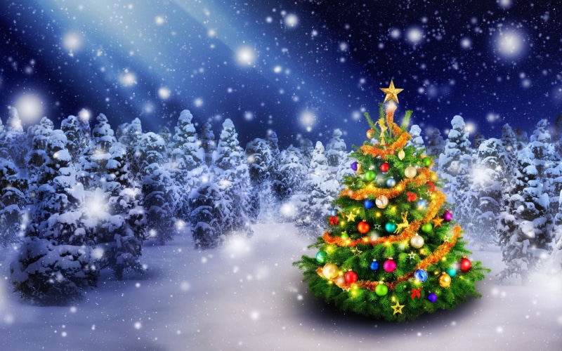 Christmas tree, Christmas, decoration, snow, winter, New Year, mini, Merry, tree, green, 2K