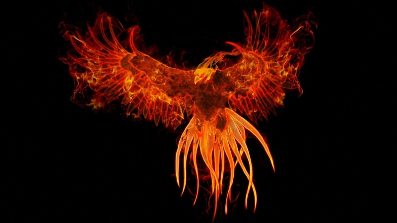 phoenix, red, bird, 2K
