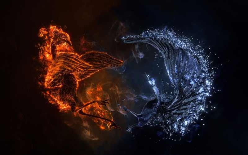 fire, phoenix, 3d and abstract, 1080P, ice, vs