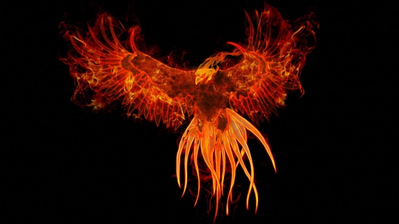 artwork, hd, fantasy, animals, BIRDS, digital, 1080P, Fire, x, mythology, art, phoenix