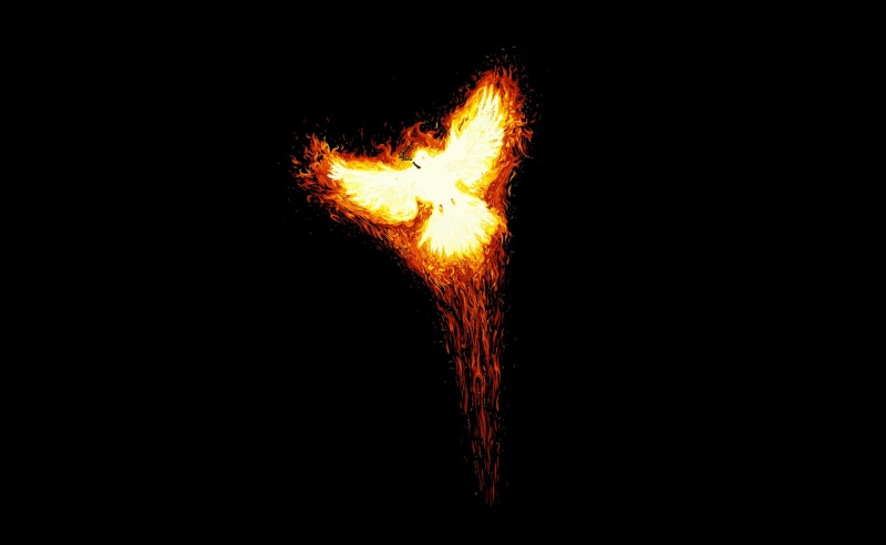 motion, Bird, Aero, black background, fire, fire - natural phenomenon, no people, heat - temperature, exploding, Dark, cut out, studio shot, outdoors, burning