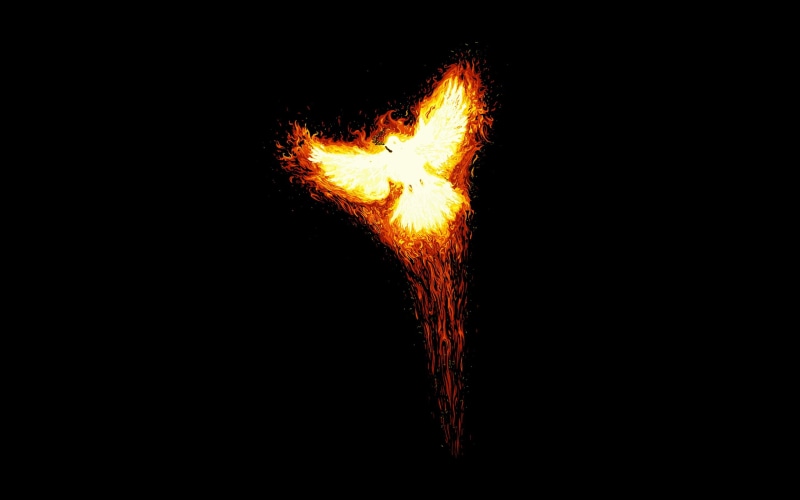 phoenix, background, fire, bird, art, 2K