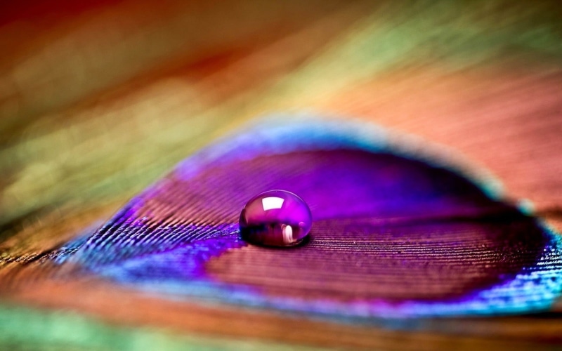 colorful, water, focus, no People, drop, photography, abstract, defocused, rain, close-up, pattern, dew, macro, nature, water drops, red, wet, raindrop
